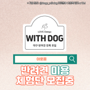 [Withdog] 아로몽 반려견 미용 체험단