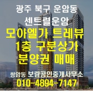 센트럴운암 모아엘가 트레뷰 상가분양 1층 구분상가 매매