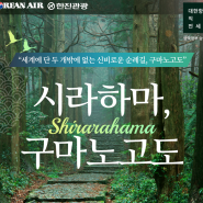 한진관광 25년 설연휴 일본 시라하마 대한항공 직항 전세기-관광& 골프 패키지여행