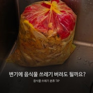 변기 음식물 쓰레기 버려도 될까요?