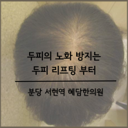 탈모, 피부 노화와 두피 리프팅 ; 분당탈모 서현역원형탈모 판교스트레스성탈모 정자역두피열 수내동안면리프팅