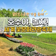 일산호수공원 가을 축제 세계 꽃문화관광축제 호수야 놀자