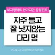 다리에 이유없이 멍이 자주 들 때 정맥을 살피자