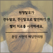 원형탈모 갯수 증가, 크기 확산, 전두탈모 전신탈모 ; 분당 탈모 서현역원형탈모 수내동청소년탈모 판교2030스트레스성탈모