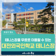 대전 유성구 가볼만한 곳, 테니스장을 무료로 이용할 수 있는 '대전외국인학교 테니스장'