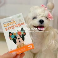 강아지 피부 딱지 각질 예방을 위한 우리집막둥이 프로바이오틱스 유산균