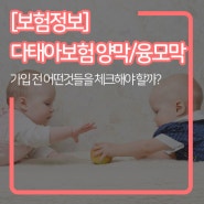 [보험정보] 쌍둥이 융모막 양막 개수 태아보험 가입 시 중요한 이유