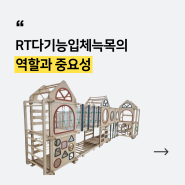 감각통합치료실에서의 필수 도구: RT다기능입체늑목의 역할과 중요성