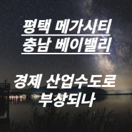 평택 메가시티 충남 베이밸리 경제 산업수도로 부상