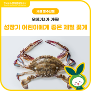 오메가3가 가득! 성장기 어린이👧에게 좋은 제철 꽃게🦀