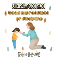 훈육시 좋은 영어표현들. Good expressions of discipline.