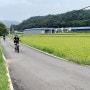 충남 홍성 가볼만한곳 야외 데이트 코스 자전거 여행 따르릉 유기논길 농촌크리에이투어