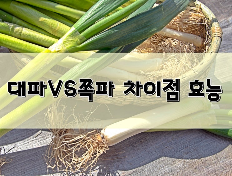 대파 VS 쪽파 차이점 각 효능 알아보기 : 네이버 블로그