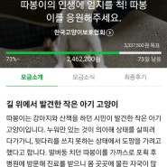 빈기부