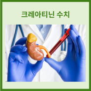 신장 크레아티닌 수치 높으면 낮으면 혈중 변화