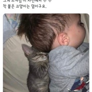 이 사진 때매 미치겠음