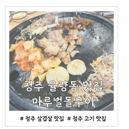 청주 율량동 맛집 맛있게 고기를 구워주는 마루벌돌구이