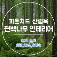 피톤치드 산림욕, 편백나무 인테리어로 경험하세요!