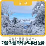 [공정한 동행 함께보기]계절을 걷는 여행, 가을·겨울 축제③ 하늘 아래 겨울 왕국, 무주 덕유산 눈꽃 축제