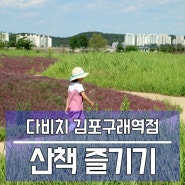 나만의 힐링 타임, 가을 산책 즐기기