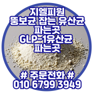 GLP1 생성 유산균 파는곳 지엘피유산균효능 지엘피유산균다이어트