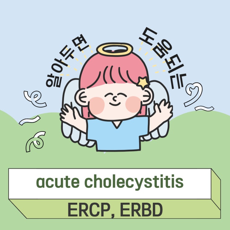 급성 담낭염 acute cholecystitis ㅣ ERCP ERBD 의학용어와 간호 알아보기 : 네이버 블로그