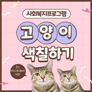 대한요양병원 사회복지프로그램 / "고양이"