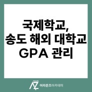 국제학교, 송도 해외 대학교 GPA 관리 받고 성적 올리기