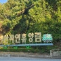 변산 자연휴양림 산과 바다를 모두 즐길 수 있는곳