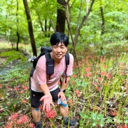 [100명산]고창 꽃객프로젝트 핑크뮬리+선운산(336m) 꽃무릇, 가을꽃들에 빠져들어요