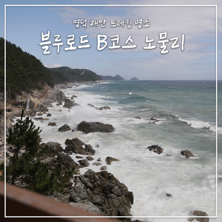 영덕 해안 트레킹 명소, 블루로드 B코스 노물리 : 네이버 블로그