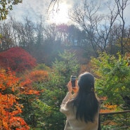 화담숲 한번에 예약하는 꿀팁 대공개/ 곤지암화담숲 모노레일 포토존