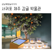 제주 아이와 가볼만한 곳 서귀포감귤박물관 (feat.카페 꿈나다)