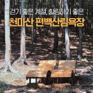 걷기 좋은 계절, 힐링하기 좋은 [천마산 편백산림욕장]