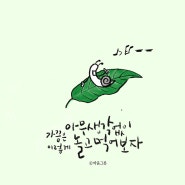 가끔은 아무 생각 없이 놀아보자