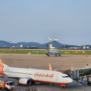 보령 서천 부여 청양 김포공항 인천공항 콜밴 대형택시 기사포함 렌트카 벌써부터 스트레스 받는 게 두렵다면