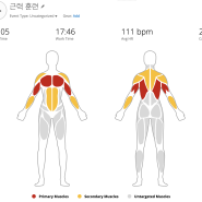 24.09.26 (목) 근력 운동