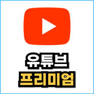 유튜브 프리미엄 요금 국가별 우회 가격, 구독 동향