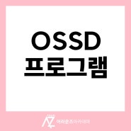 OSSD프로그램 자퇴생도 약대 지원이 가능