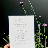 사랑글귀 펜캘리 연서글 다시 한번 , 사랑하기 좋은 계절이야