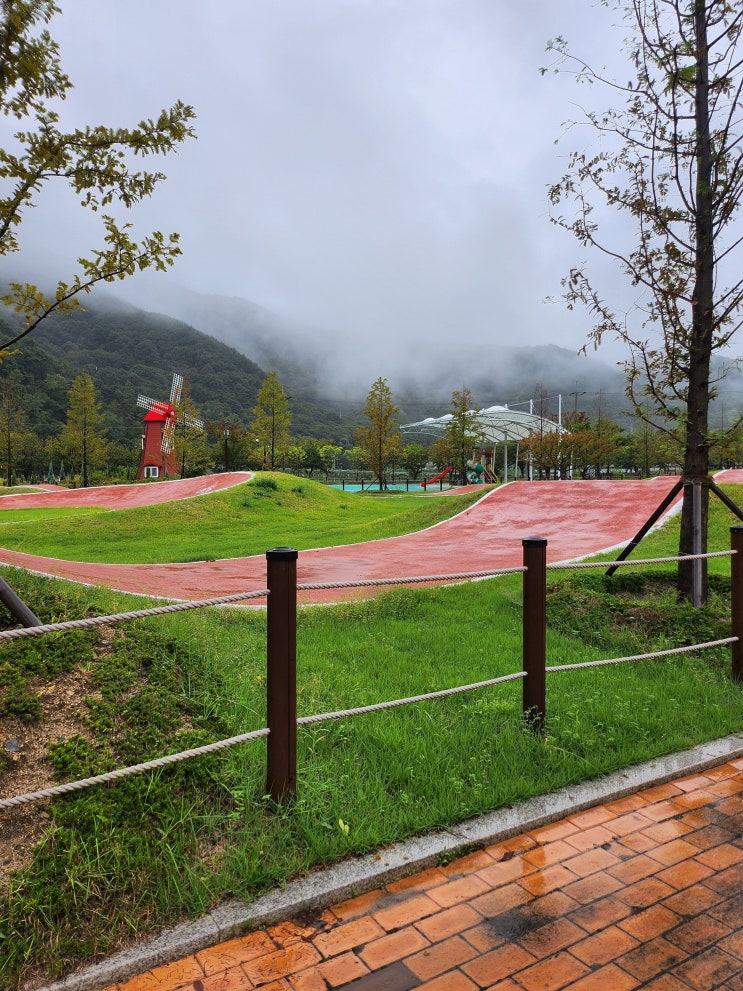 대구근교 청도레일바이크 우중캠핑 네이버 블로그