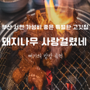 부산 서면 고기 맛집 추천 부전역 근처 돼지고기 전문점 돼지나무 사랑걸렸네