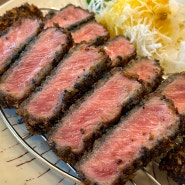 [파주 와동동] 운정 맛집 "정동 파주점" 가람마을 맛집 하나야마 냉우동 규카츠 먹고 온 후기! 와동동 맛집 추천