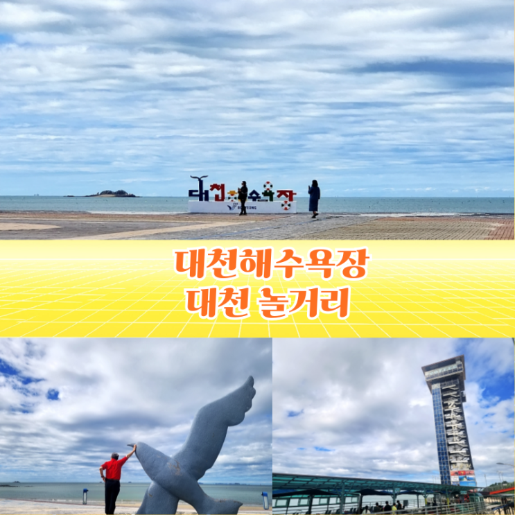 대천해수욕장 보령 대천 가볼만한곳 대천 놀거리 대천 짚라인 스카이레일바이크 : 네이버 블로그
