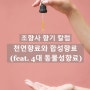 조향사 향기 칼럼: 천연향료와 합성향료에 대해 알아볼까요? (feat. 4대 동물성 향료)