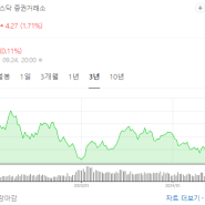 [미국주식일기]테슬라 TSLA/TSLL 전망