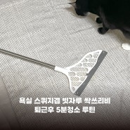 욕실 스퀴지 저렴이 실리콘 빗자루 퇴근후 5분청소 루틴