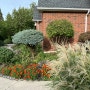 Front Yard Garden