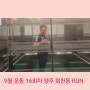 양주 마라톤 클럽 두발로 - '9월 운동 16회차 양주 회천동 RUN'