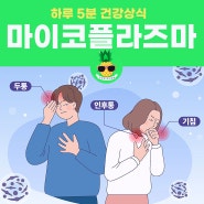 마이코플라즈마 폐렴 증상, 전염, 항생제, 열, 검사 방법은?